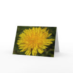 Just Dandy! -Father's Day cards