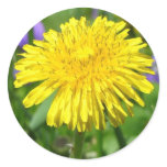 Just Dandy! stickers