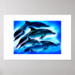 JUST DOLPHINS POSTER