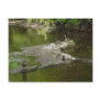 Just Ducky Post Cards