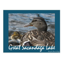 Just Ducky Postcards