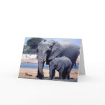 JUST ELEPHANTS cards