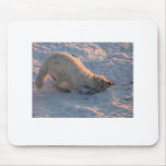 Just enjoying life mousepads