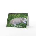Just EWE and Me cards