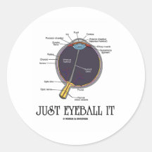 Just Eyeball It (Eye Anatomy Approximation Saying) Round Stickers