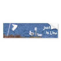 Just Get in Line Bumper Stickers