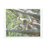 Just Hangin' Out postcards