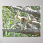 Just Hangin' Out posters