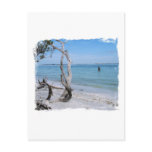 Just Keep Swimming.... postcards