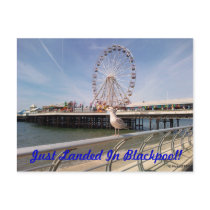 Just Landed Post Card