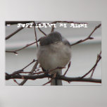 Just Leave Me Alone posters