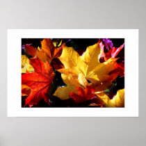 JUST LEAVES POSTER