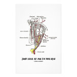 Just Look At Me In The Eye (Anatomical Humour) Custom Stationery