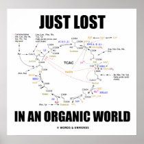 Just Lost In An Organic World (Krebs Cycle)