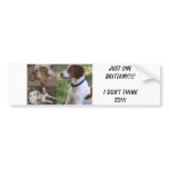 Just ONE Brittany?!?I don't think so!!! bumper stickers