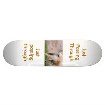 just passing through custom skate board
