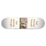 just passing through skateboards