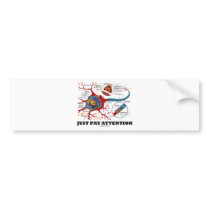 Just Pay Attention (Neuron / Synapse)