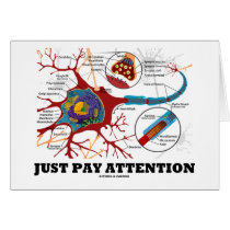 Just Pay Attention (Neuron / Synapse)