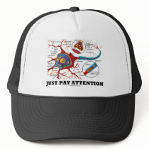 Just Pay Attention (Neuron / Synapse)