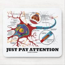 Just Pay Attention (Neuron / Synapse)