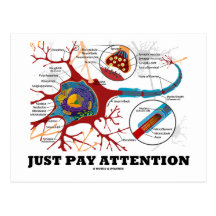 Just Pay Attention (Neuron / Synapse) Post Cards