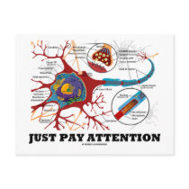 Just Pay Attention (Neuron / Synapse)