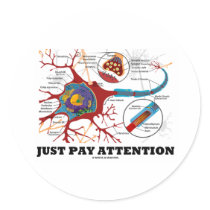 Just Pay Attention (Neuron / Synapse)