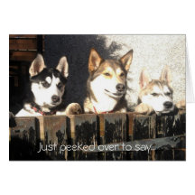 Just peeked over to say.. card