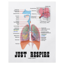 Just Respire