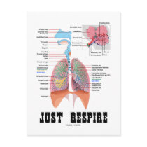 Just Respire