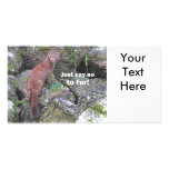 "Just Say No to Fur" Mink Photo Card