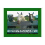 Just saying, hay,howdy, dude! postcards