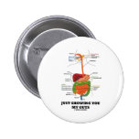Just Showing You My Guts (Black Font Digestive) Buttons