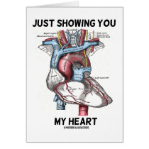 Just Showing You My Heart (Anatomical Heart)