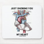 Just Showing You My Heart (Anatomical Heart)