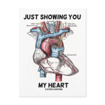 Just Showing You My Heart (Anatomical Heart)