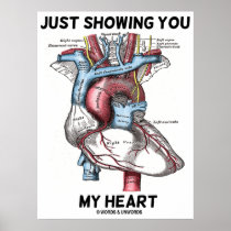 Just Showing You My Heart (Heart Anatomy)