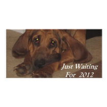 Just Waiting on 2012 Custom Photo Card