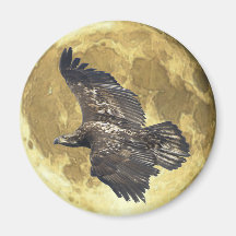 Juvenile BALD EAGLE & FULL MOON Wildlife Magnet
