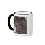 Juvenile Barred Owl (Strix varia) Coffee Mug