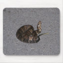 Juvenile Cottonmouth Snake mousepads