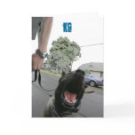 K9 Blank Greeting Card