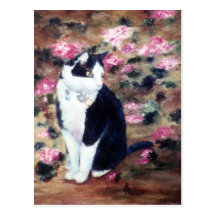 Kaboodles Cat Postcard
