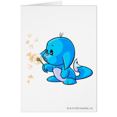 blue kacheek