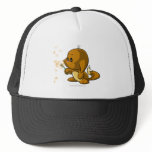 Kacheek Brown hats