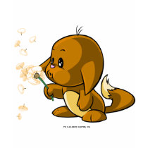 Kacheek Brown t-shirts