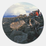 Kachemak Bay Shorebird Festival 1993 Stickers