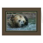 kachina_grizzly bear with paw to head 5615 cards