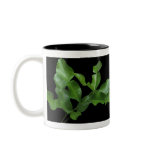 Kaffir Lime Leaves Mugs